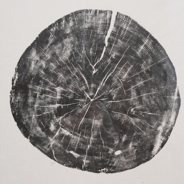Oak II - original woodcut print