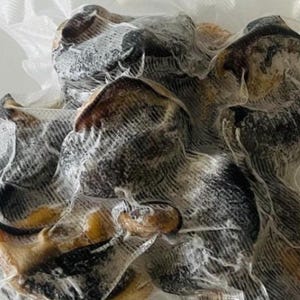 May include: A close-up of several dark-colored, irregularly shaped objects, possibly food items, encased in a transparent, mesh-like packaging. The items have a mix of dark and light brown hues, with some areas appearing almost black. The packaging is slightly wrinkled.