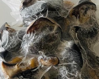 May include: A close-up of several dark-colored, irregularly shaped objects, possibly food items, encased in a transparent, mesh-like packaging. The items have a mix of dark and light brown hues, with some areas appearing almost black. The packaging is slightly wrinkled.