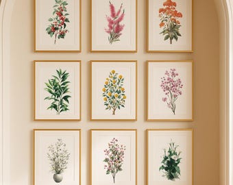 ボタニカルグリーンのイラスト、ムガル美術、現代植物ギャラリー、ミニマリストデジタルダウンロード、ボヘミアンスタイルのホームインテリア