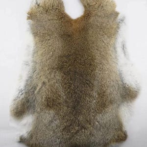 May include: A tanned rabbit pelt with a natural color palette of brown, tan, and white. The fur is thick and soft, with a visible grain. The pelt is irregularly shaped, with a rounded top and sides.
