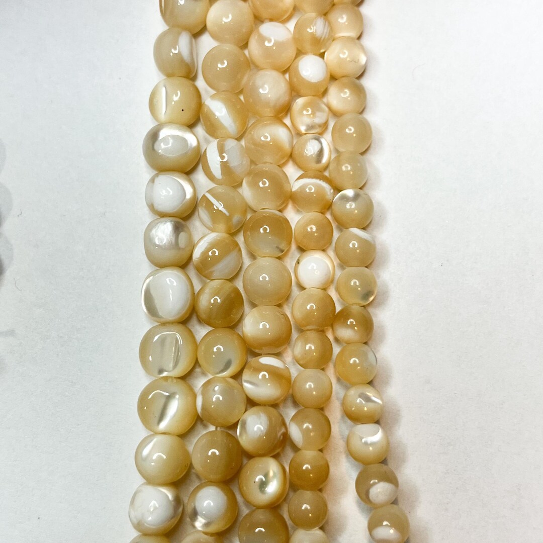 Troca Shell Beads – Multiple Sizes – 17