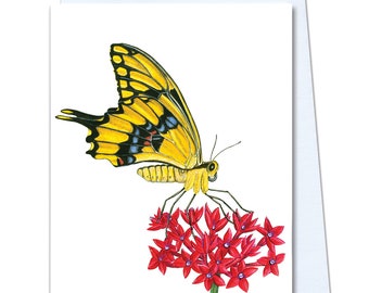 Swallowtail Greeting Card