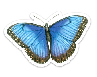 Blue Morpho Sticker