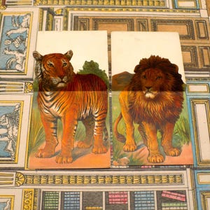 Cartes anciennes de l'alphabet lion et tigre