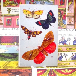 Cartolina antica della farfalla di Padre Tuck