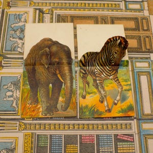 Cartões do alfabeto de zebra e elefante antigos