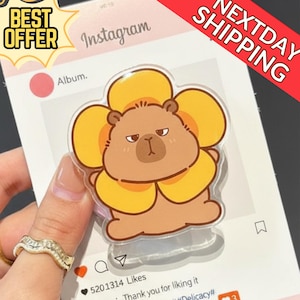 May include: A clear phone grip featuring a cartoon bear with yellow flower petals. The bear has a grumpy expression. The grip is held in front of an Instagram-themed background with the words "Instagram" and "Album."