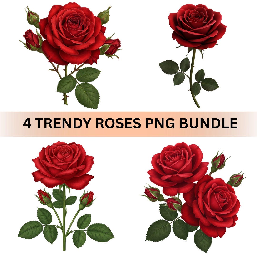 4 Red Rose PNG Elegant Floral Clipart Realistic Rose Bouquet ...