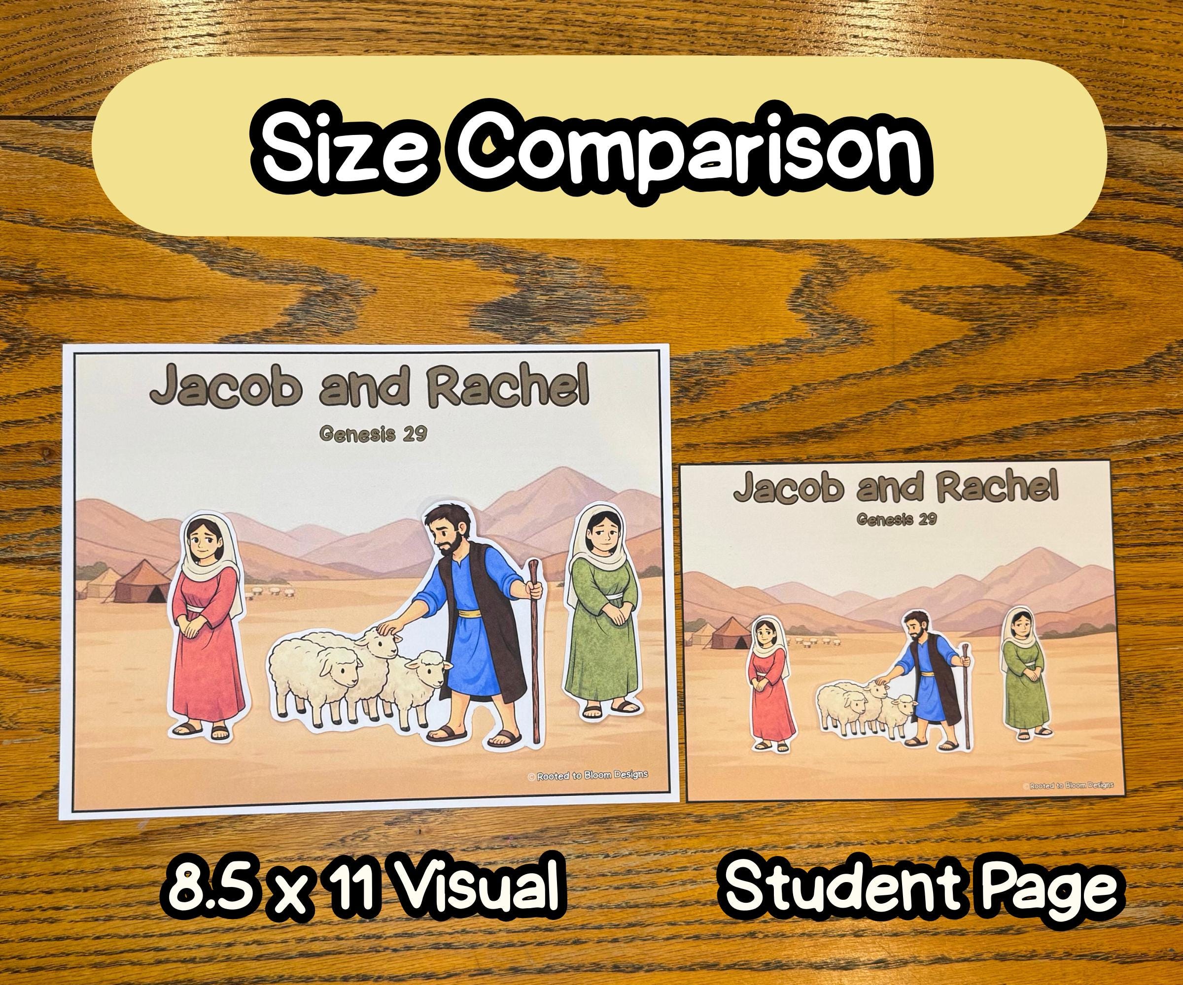 Jacob and Rachel- Bible Story Visuals, Worksheets, and Crafts for ...