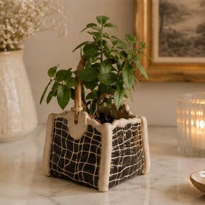 Può includere: Un piccolo vaso quadrato in ceramica con un motivo a griglia bianco e nero, contenente una piccola pianta verde. Il vaso ha un bordo color crema e un manico. Un vaso di fiori bianchi e una candela in un portacandele sono sullo sfondo.