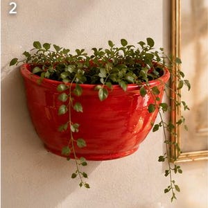 Peut inclure: Un pot mural rouge vif rempli de verdure. Le pot en céramique brillante a une forme arrondie et est monté sur un mur texturé de couleur claire. Des vignes retombantes jaillissent du pot, ajoutant une touche de beauté naturelle.