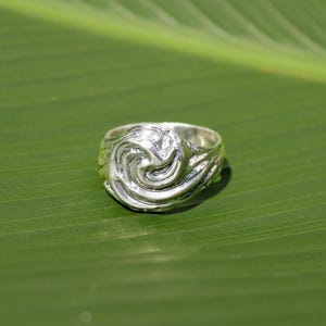 May include: A silver ring with a swirling, wave-like design. The ring is set against a green leaf, highlighting its intricate details and metallic sheen. The ring's design evokes a sense of movement and fluidity.