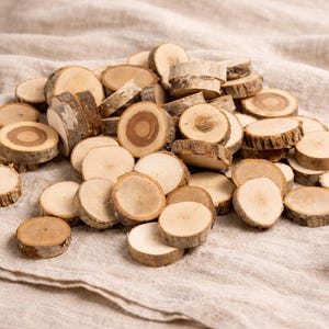 Pode incluir: Uma pilha de pequenas fatias de madeira redondas com bordas de casca natural. As rodelas de madeira variam em tamanho e exibem anéis de crescimento concêntricos, com tons castanhos claros e bege. Estão dispostas sobre um tecido bege texturizado.
