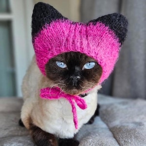 May include: A Siamese cat with bright blue eyes, wearing a knitted hat with cat ears. The hat is pink with black ear tips, and a matching pink bow is tied around the cat's neck. The cat is on a grey surface.