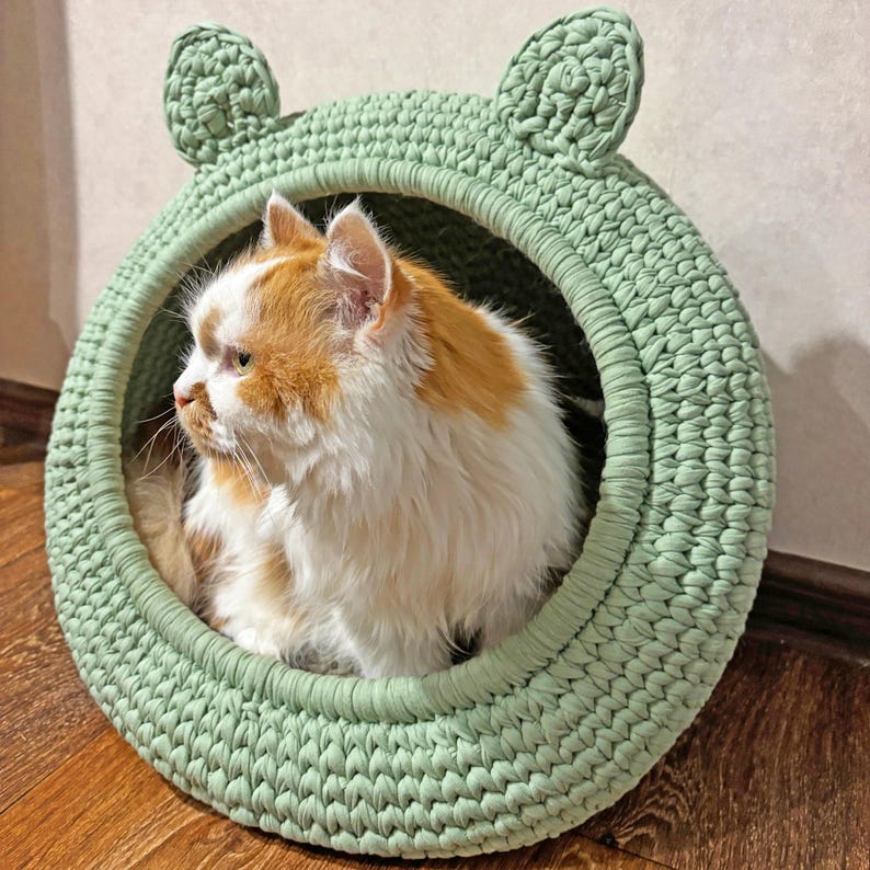 May include: A mint green, crocheted cat bed with ear-shaped details. The circular bed contains a cat with ginger and white fur. The bed is on a wooden floor.