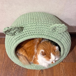 May include: A light green, hand-crocheted cat bed shaped like a rounded cave with two small ear-like protrusions. A fluffy, orange and white cat is curled up inside the bed, appearing asleep. The bed is on a wooden floor.