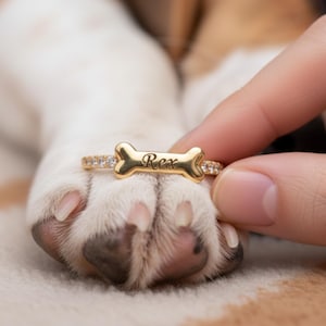 Puede incluir: Un anillo dorado con un centro en forma de hueso y el nombre "Rex" grabado. El anillo está adornado con pequeñas piedras preciosas transparentes y se muestra cerca de la pata de un perro.
