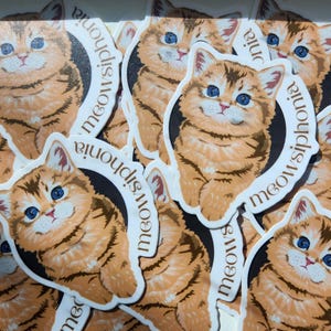May include: A collection of stickers featuring a cute orange tabby kitten with blue eyes. Each sticker has a black circle with the text "Meowsiphonia" in white.