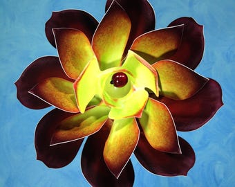 Aeonium Succulent Double Spin Pinwheel Whirligig Wind Spinner Windmill Fan