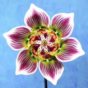 Lady Slipper Orchid Pinwheel Wind Spinner Whirligig Windmill Fan