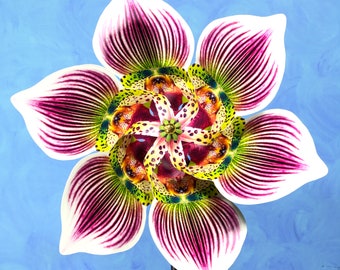Lady Slipper Orchid Pinwheel Wind Spinner Whirligig Windmill Fan