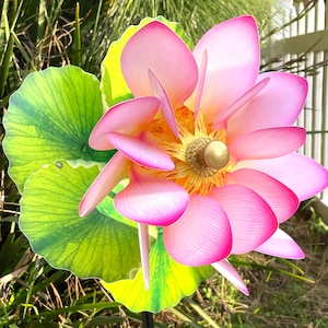 Pink Lotus Flower Giant Double Spin Pinwheel Wind Spinner Whirligig Windmill Fan