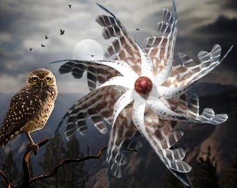 Owl Pinwheel Wind Spinner Whirligig Windmill Fan