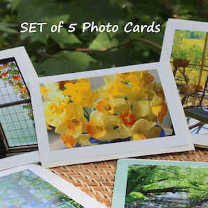 May include: Set of 5 photo cards featuring a stained glass window, a bouquet of yellow daffodils, a rocking chair on a porch, a forest stream, and a tree canopy.