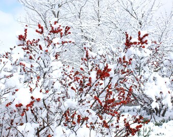 Pink Cadillac Diner Dream 1950s Style Neon Colors Rock Etsy