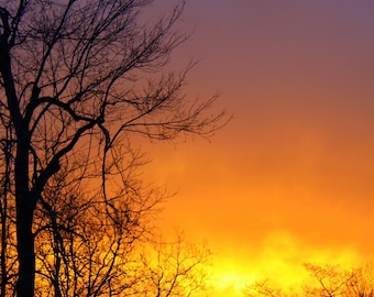 Pink Cadillac Diner Dream 1950s Style Neon Colors Rock Etsy