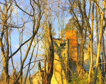 Old Abandoned House, near the Natural Bridge in Virginia--5 x 7 fine art photo, signed