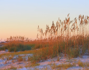 Sea Oats at Sunrise, Ft. Clinch State Park Beach, Amelia Island, FL--8 x 10 in. fine art photo, signed