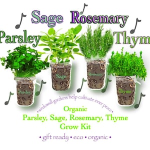 May include: Four small herb gardens in mason jars, labelled Parsley, Sage, Rosemary, and Thyme. The text "Organic Parsley, Sage, Rosemary, Thyme Grow Kit" is displayed below the jars, with musical notes around the text.