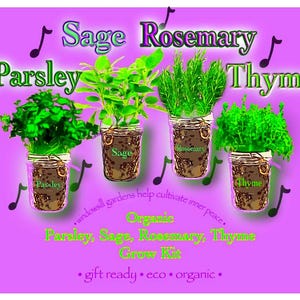 Kweeksets voor biologische kruidenpot: vensterbank met peterselie, salie, rozemarijn en tijm