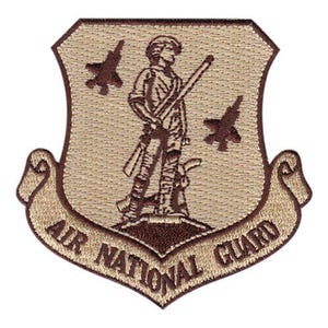 Air National Guard F-35 Desert Tan Embroidered Patch – Iron-On Gear Applique