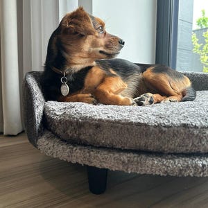 Luxury Dog Bed, Cozy Dog Furniture, Custom Color Pet Gift, Dog Supplies, Adorable Pet Sofa, Animal Items, Comfortable Pet Furniture Gift
