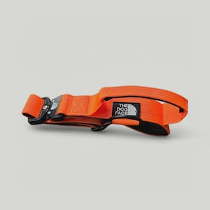 Peut inclure: Collier orange vif pour chien avec fermoir en métal noir et texte "THE DOG FACE" sur un écusson noir et blanc. Le collier est fabriqué en matériau tissé résistant.