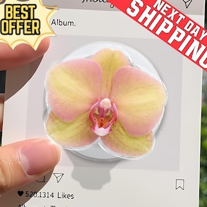 May include: A close-up of a light pink and yellow orchid flower on a white background. The flower has a detailed center and is surrounded by a clear, circular adhesive. The image also includes the text "Album" and "Best Offer".