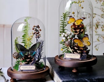 Adorno de micropaisaje de mariposa, obra de arte de espécimen de planta real, decoración del hogar y regalo único.