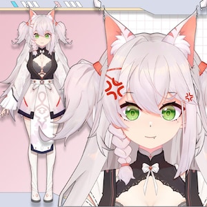 Premade Live2D Vtuber Model: Ready to Use, VTubeStudio Compatible