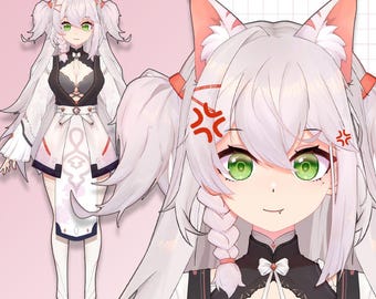 Premade Live2D Vtuber Model: Ready to Use, VTubeStudio Compatible
