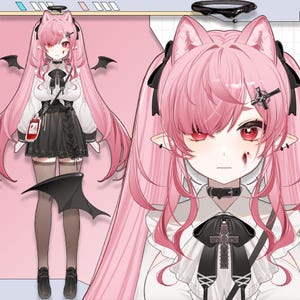Op de afbeelding: Een anime-achtig personage met roze haar, kattenoren en rode ogen. Het personage draagt een witte blouse, zwarte rok en choker. Zwarte vleermuisvleugels en een bloedzak zijn ook zichtbaar. Het personage heeft een kruis op het voorhoofd en een kleine wond.