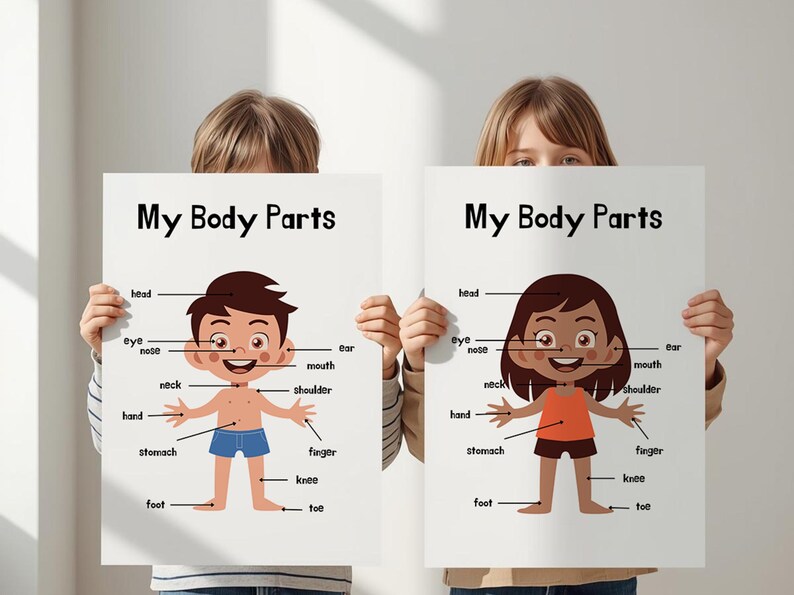 My Body Parts Poster for Kids Printable | Preschool Learning Chart ...