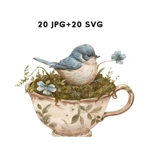 Watercolor Bird Teacup Clipart, Vintage Floral Illustrations (20 JPG, SVG Digital Download)