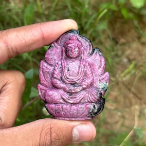 Peut inclure: Une statue de Bouddha en pierre précieuse rose sculptée. Le Bouddha est assis en position du lotus, entouré d'une fleur de lotus. La pierre précieuse a des accents noirs et est tenue dans une main sur un fond vert flou.