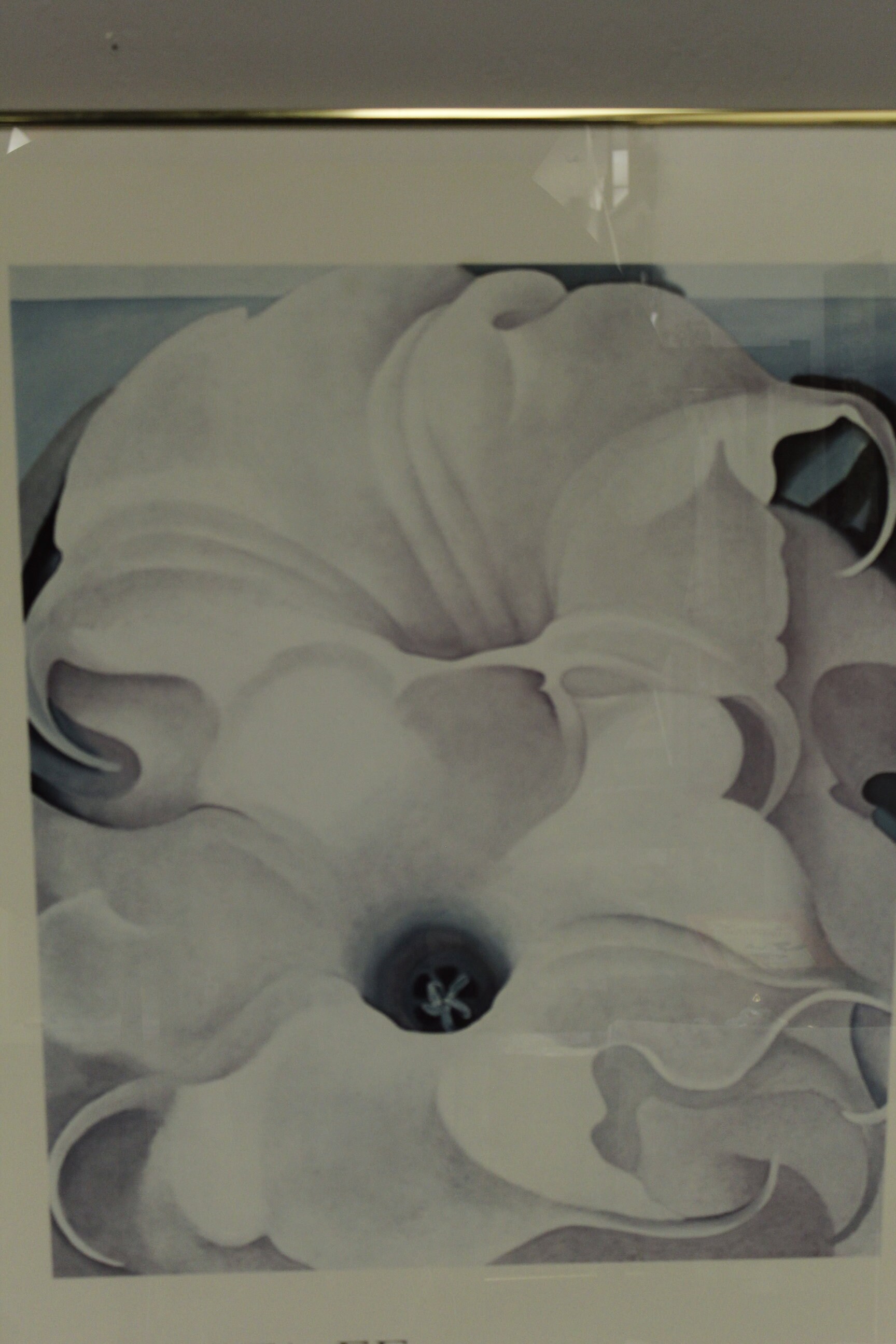 Vintage Sante Fe White Flower 1979 Georgia O' Keefe Music Framed