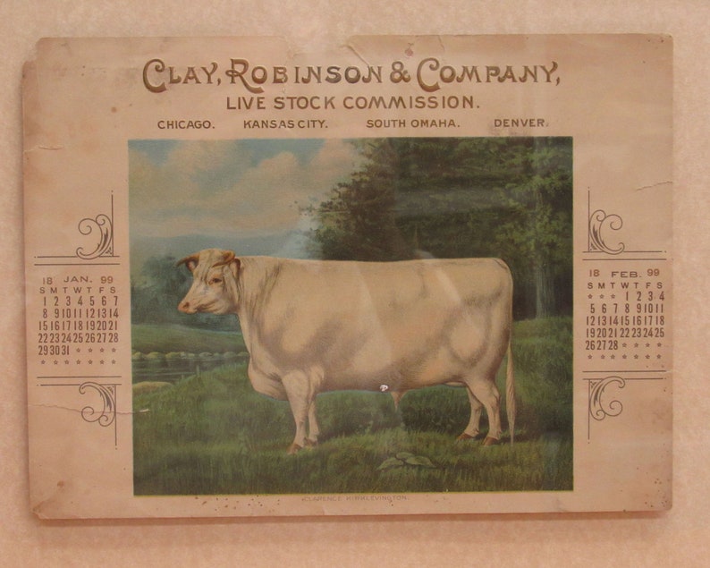 Vintage Framed 1899 Clarence Kirklevington Charolais Steer Calendar Page E10988