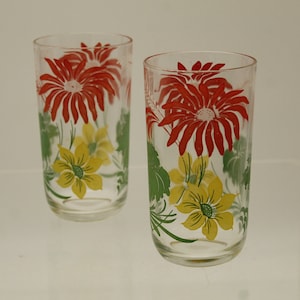 Vintage Hazel Atlas Garden Variety Tumblers, Set of Two (V10624)