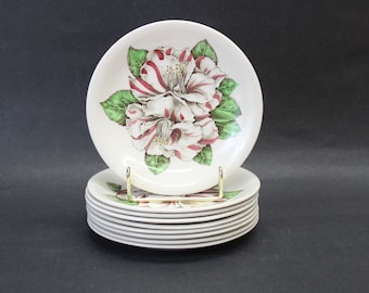 Vintage Johnson Bros 'Camellia Multicolor' Bread & Butter Plates, Set of 9 (E13600)